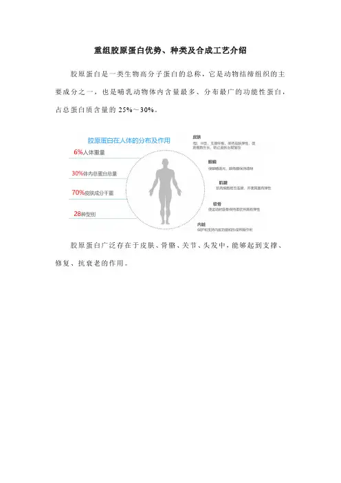 重组胶原蛋白优势、种类及合成工艺介绍