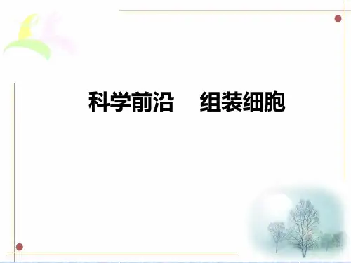 人教版高中生物必修一第一章 科学前沿《组装细胞》同步课件29PPT