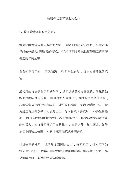 输尿管堵塞肾积水怎么办