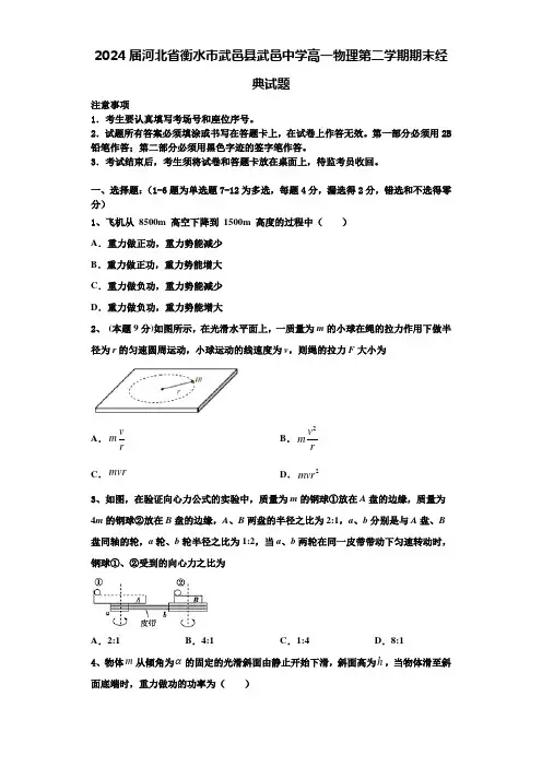 2024届河北省衡水市武邑县武邑中学高一物理第二学期期末经典试题含解析
