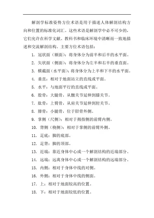 解刨学标准姿势方位术语