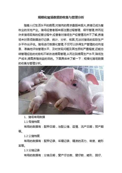 规模化猪场数据的收集与管理分析