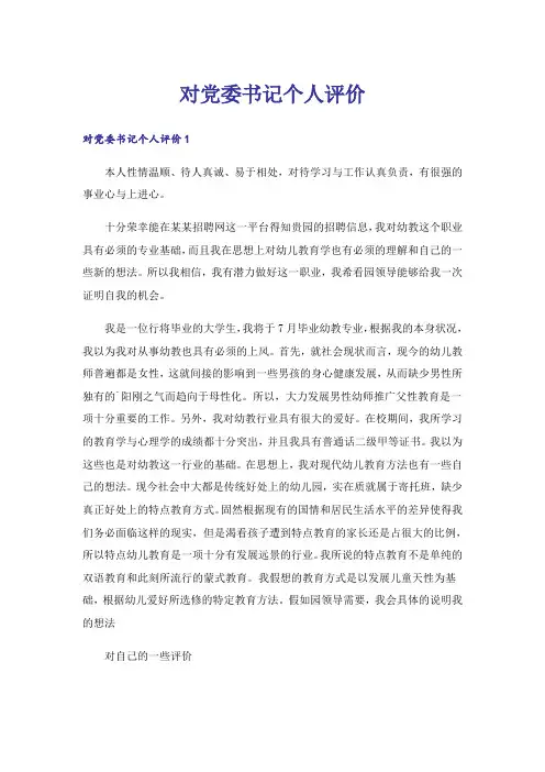 对党委书记个人评价