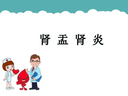 肾盂肾炎ppt课件