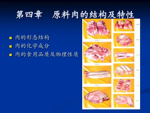 肉制品工艺学原料肉的结构和特性