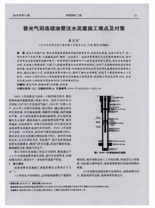普光气田连续油管注水泥塞施工难点及对策