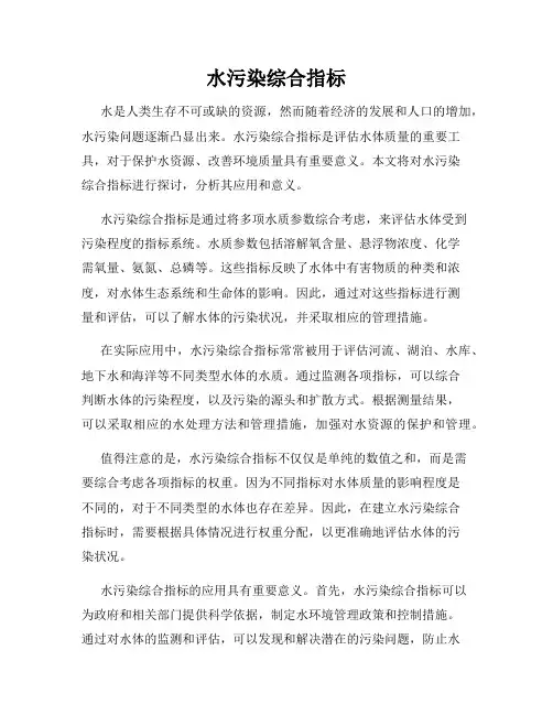 水污染综合指标