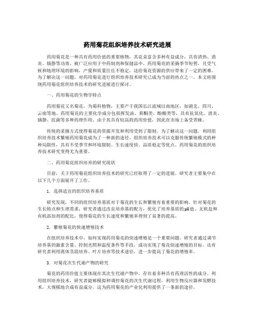 药用菊花组织培养技术研究进展