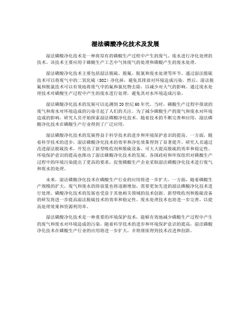 湿法磷酸净化技术及发展