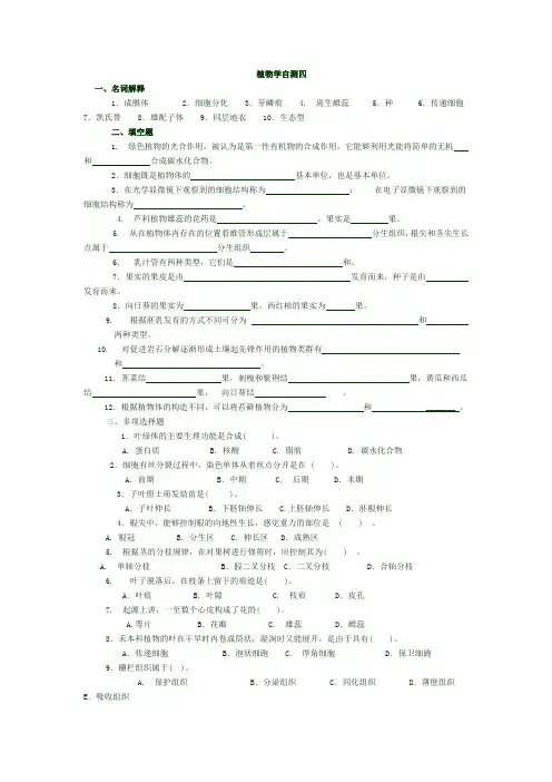 植物学试题及标准答案
