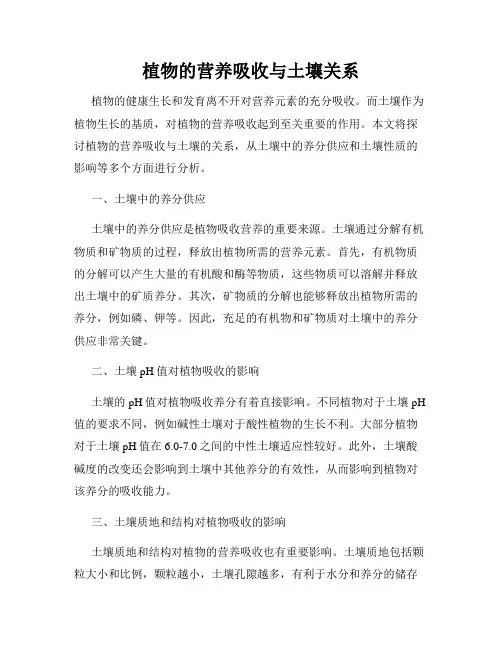 植物的营养吸收与土壤关系