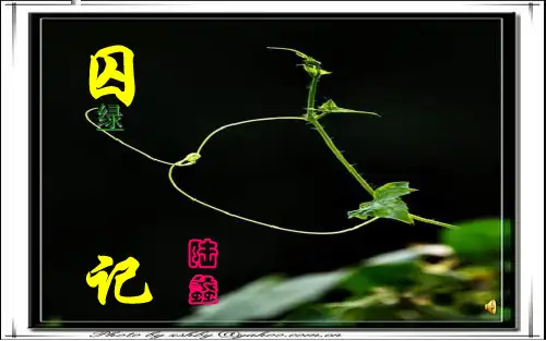 囚绿记公开课优秀课件