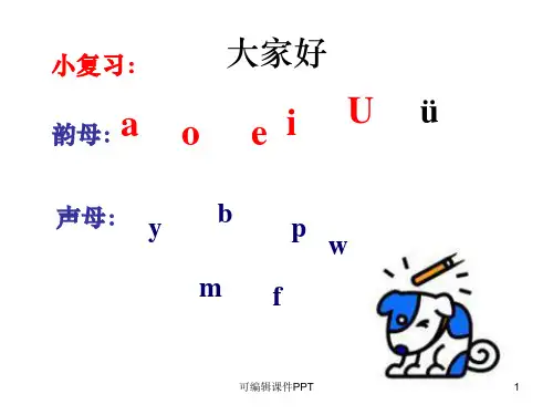 汉语拼音dtnl精ppt课件