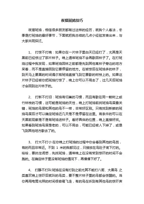 夜猎斑鸠技巧