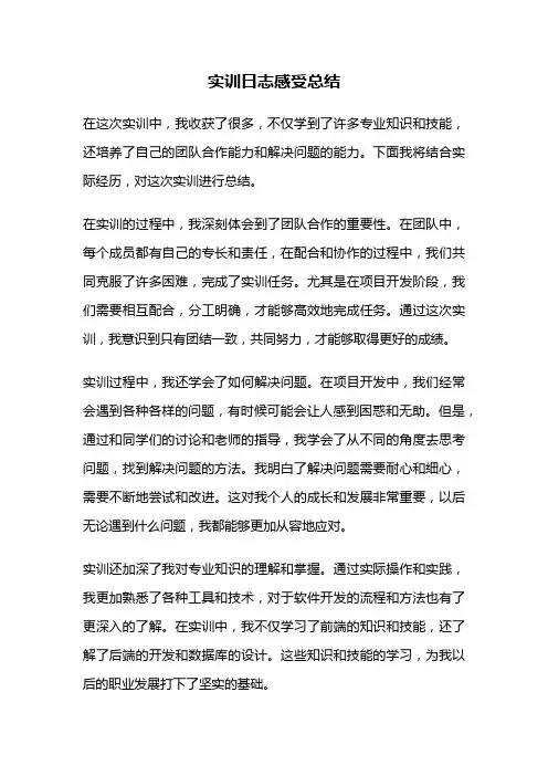 实训日志感受总结