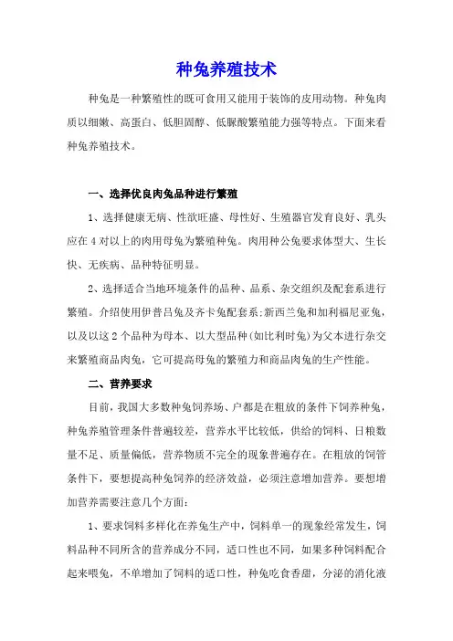 种兔养殖技术