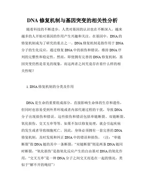 DNA修复机制与基因突变的相关性分析