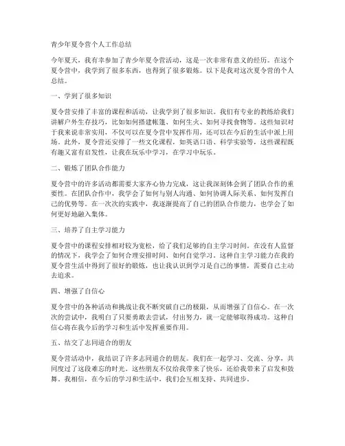 青少年夏令营个人工作总结