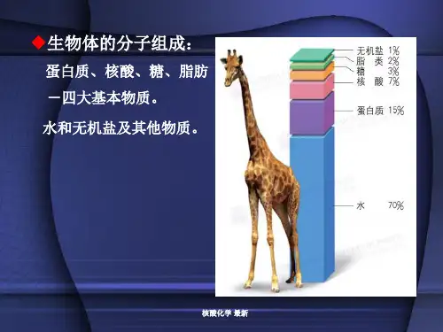 核酸化学最新课件