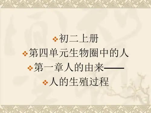 人的生殖过程PPT