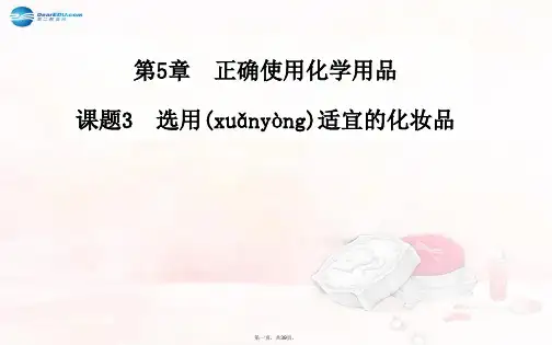 高中化学 第5章 课题3 选用适宜的化妆品同步课件 鲁教版选修1