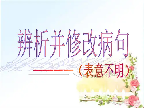 辨析并修改病句——表意不明