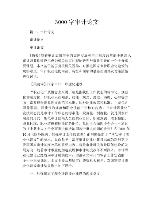 3000字审计论文