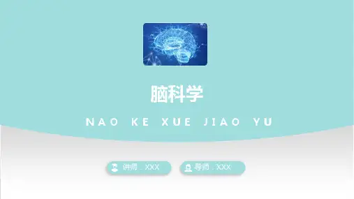 脑科学教育理论