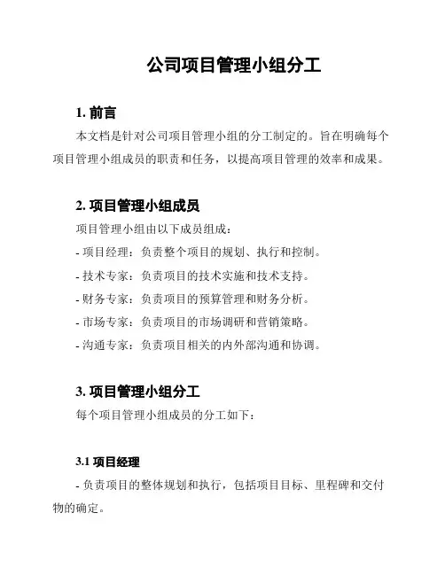 公司项目管理小组分工