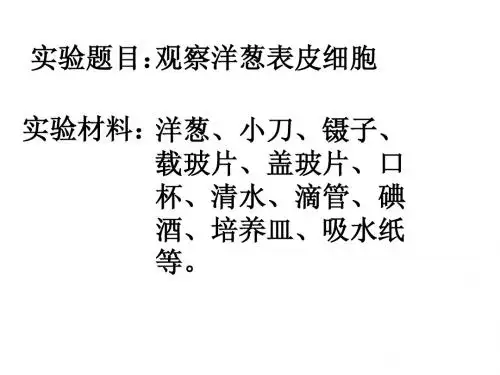 观察洋葱表皮细胞