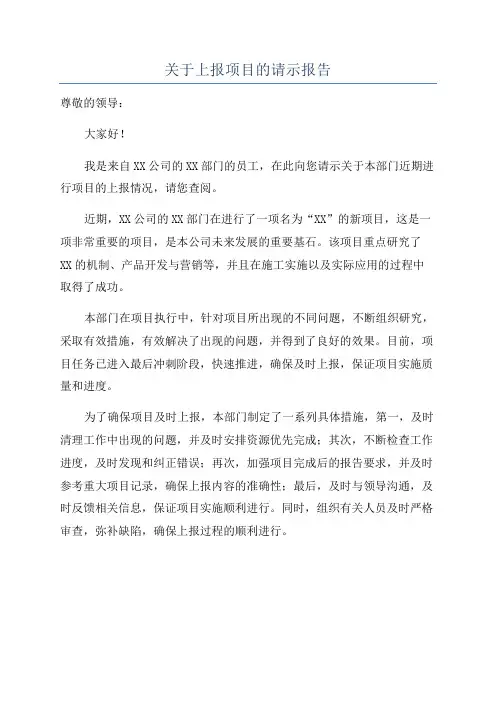 关于上报项目的请示报告
