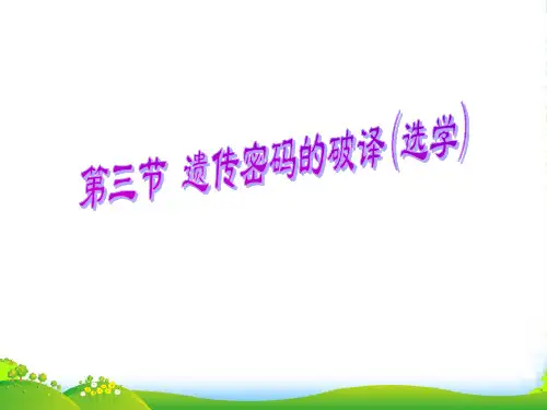 高中生物《第四章 第三节 遗传密码的破译(选学)》课件5 新人教必修2