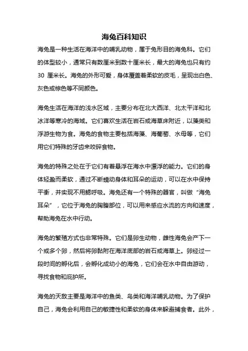 海兔百科知识