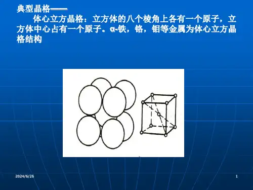 金相检验培训课件