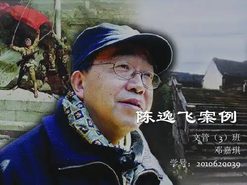 陈逸飞案例