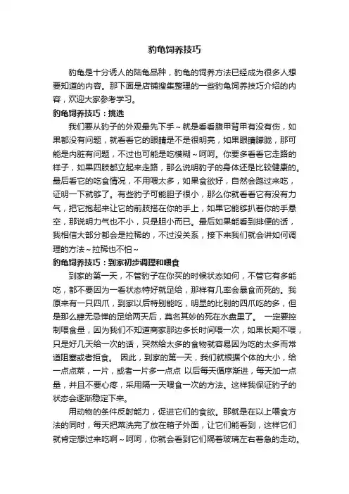 豹龟饲养技巧