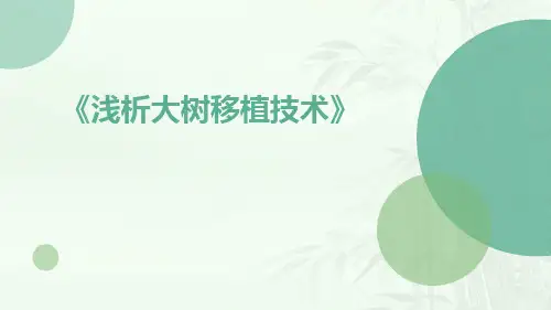 浅析大树移植技术