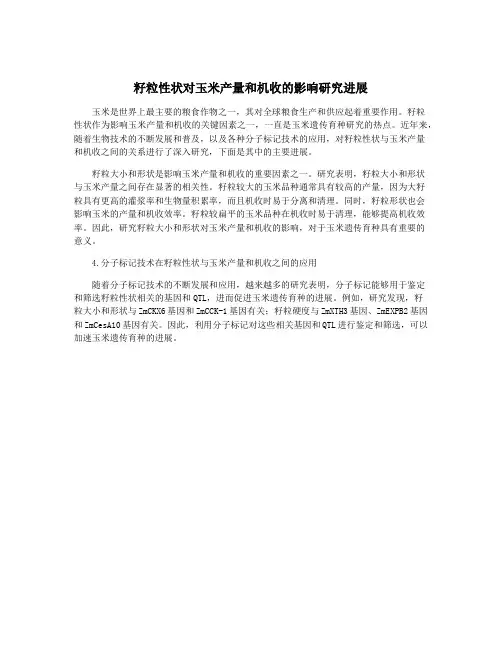 籽粒性状对玉米产量和机收的影响研究进展