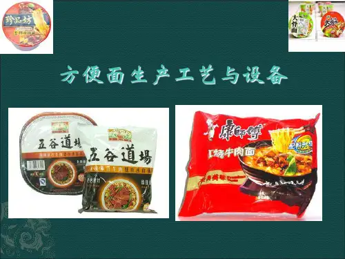 方便面生产工艺与设备介绍课件分析(PPT28张)