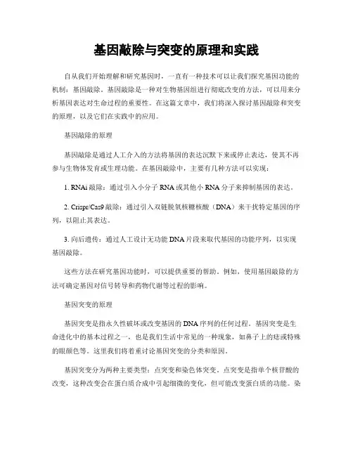 基因敲除与突变的原理和实践