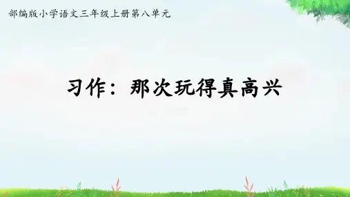 习作：《那次玩得真高兴》ppt课件