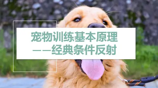 【宠物驯导与表演课件】经典条件反射