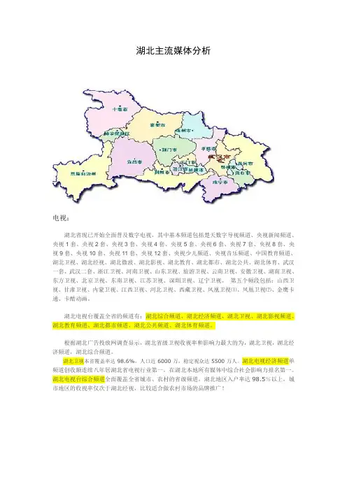 湖北主流媒体分析