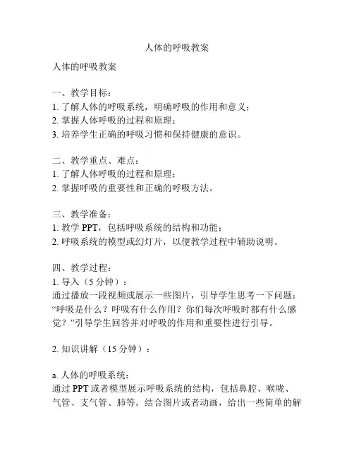 人体的呼吸教案