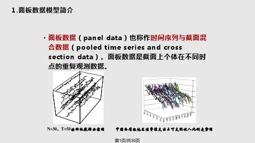 面板数据分析PPT课件