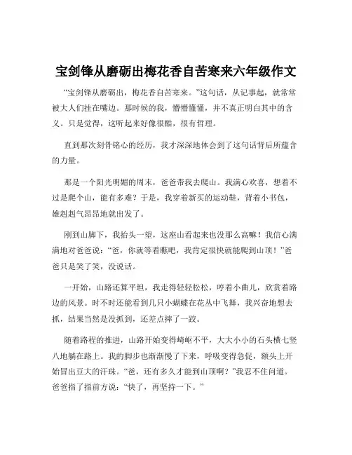 宝剑锋从磨砺出梅花香自苦寒来六年级作文