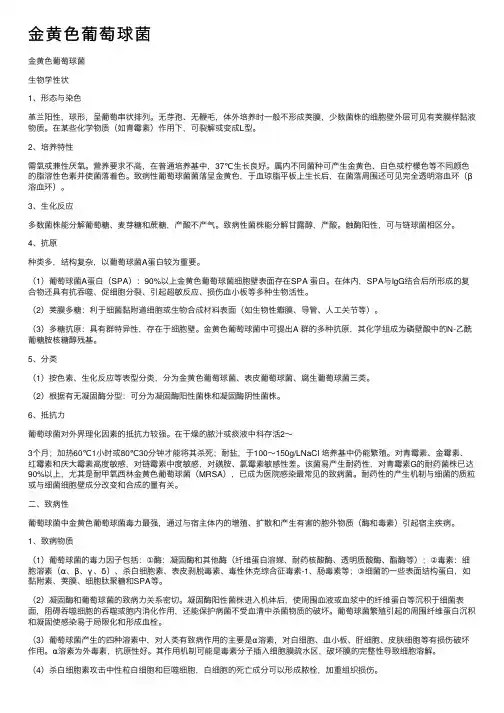 金黄色葡萄球菌