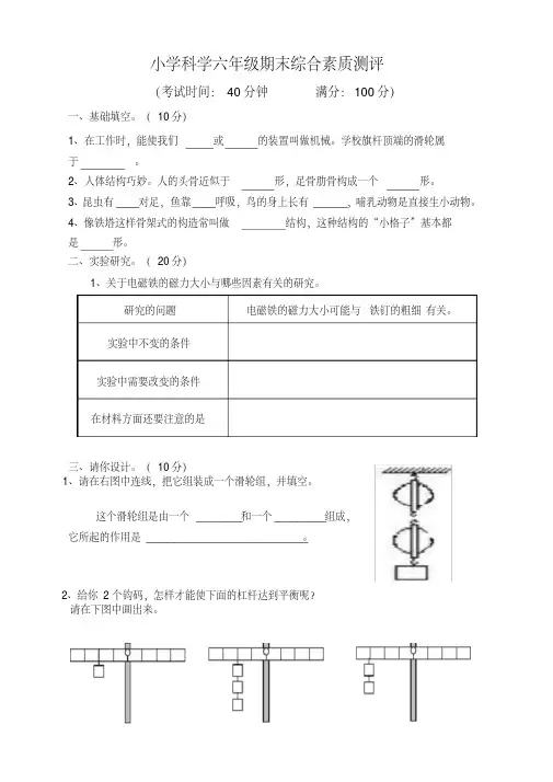 小学科学六年级期末综合素质测评