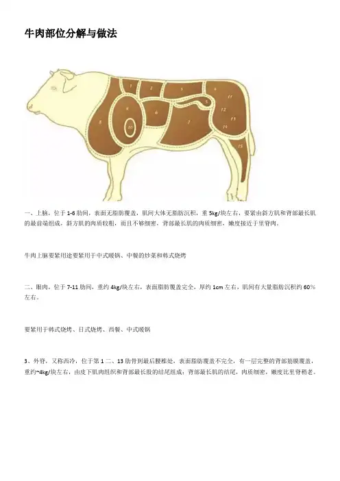 牛肉部位分解与做法