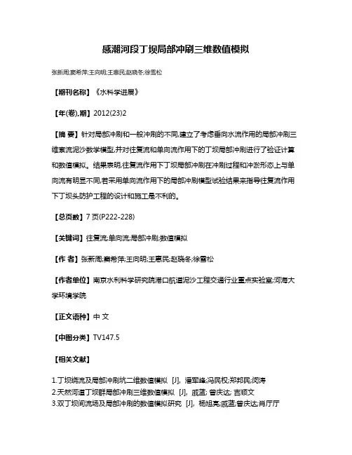 感潮河段丁坝局部冲刷三维数值模拟